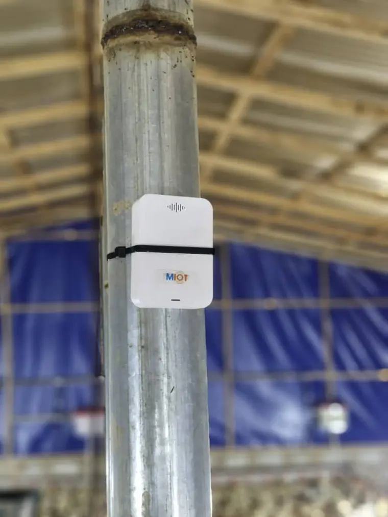 A MIOT air quality sensor strapped to a support pole inside a poultry house.